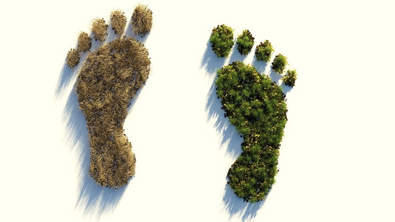 Vergleich zweier Fußabdrücke einmal mit und einmal ohne CO2
